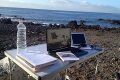 Tenerife gennaio 2015 durante la stesura del libro